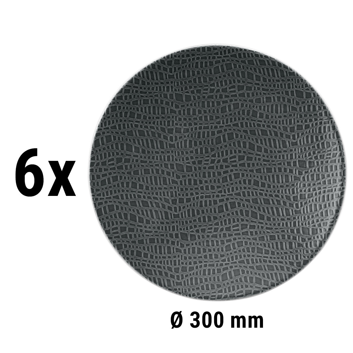 (6 pieces) Seltmann Weiden - Plate flat - Ø 30 cm