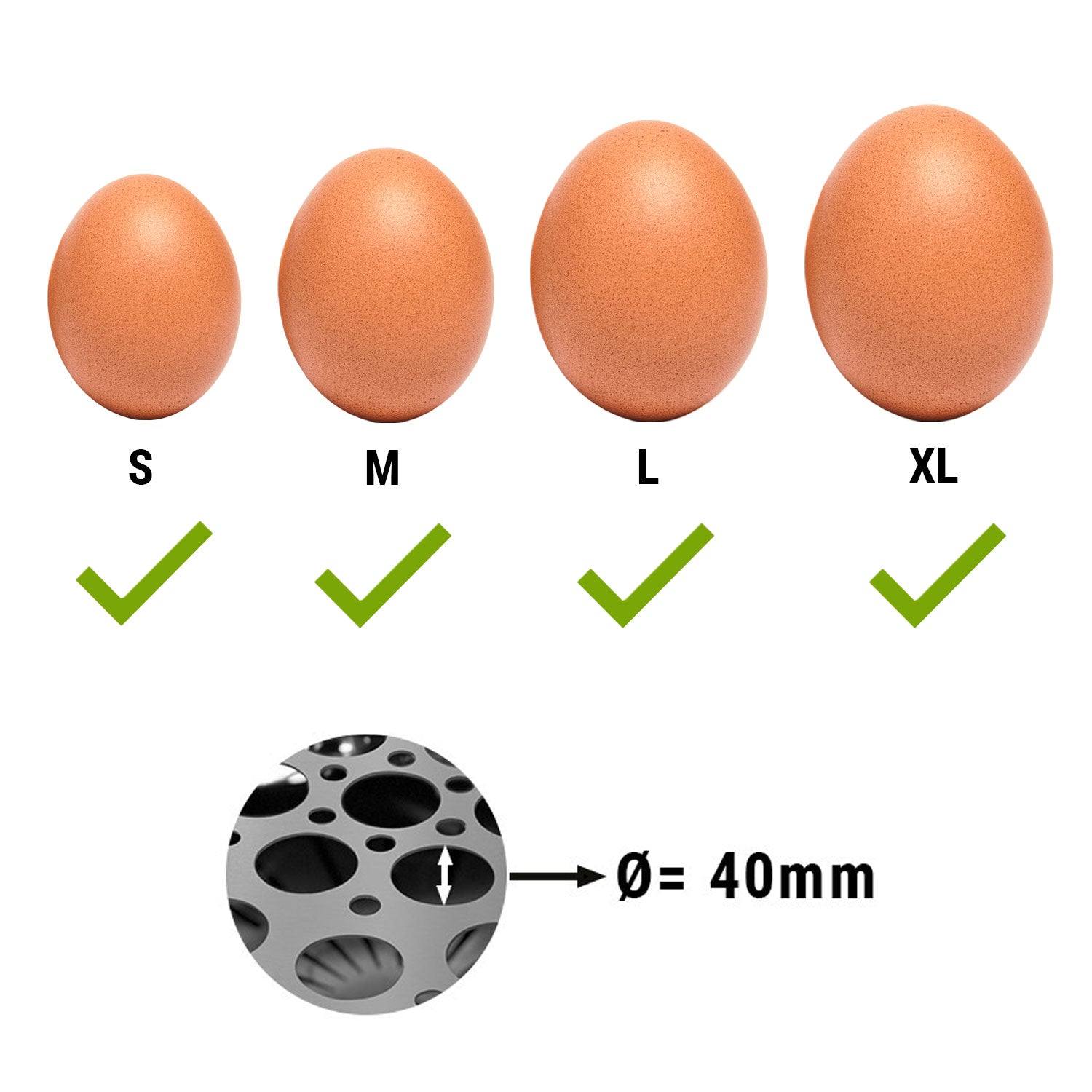 Egg boiler / buffet egg warmer - for 37 eggs