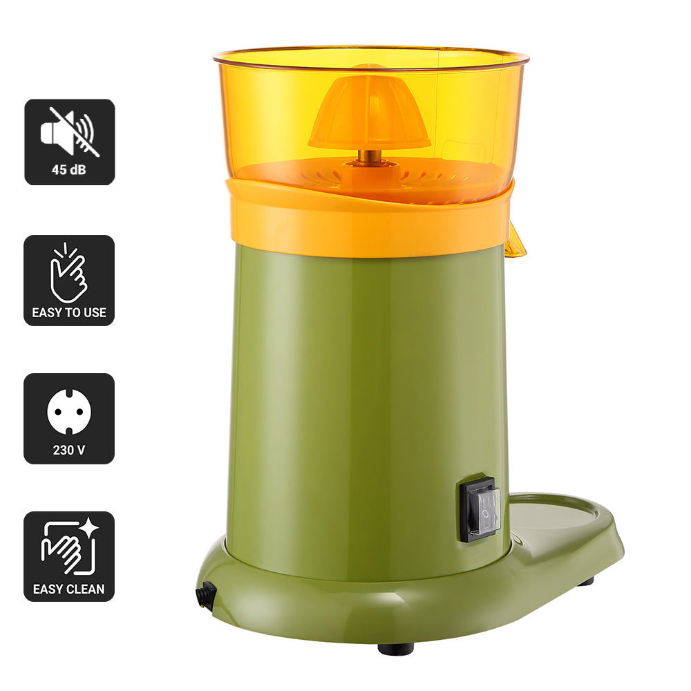 Electric fruit juicer