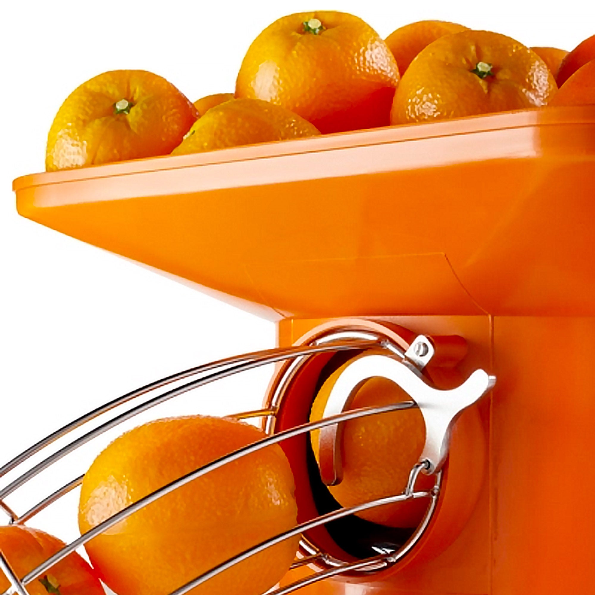 Electric orange juicer - orange - automatic feed - incl. Adjustable drain tap