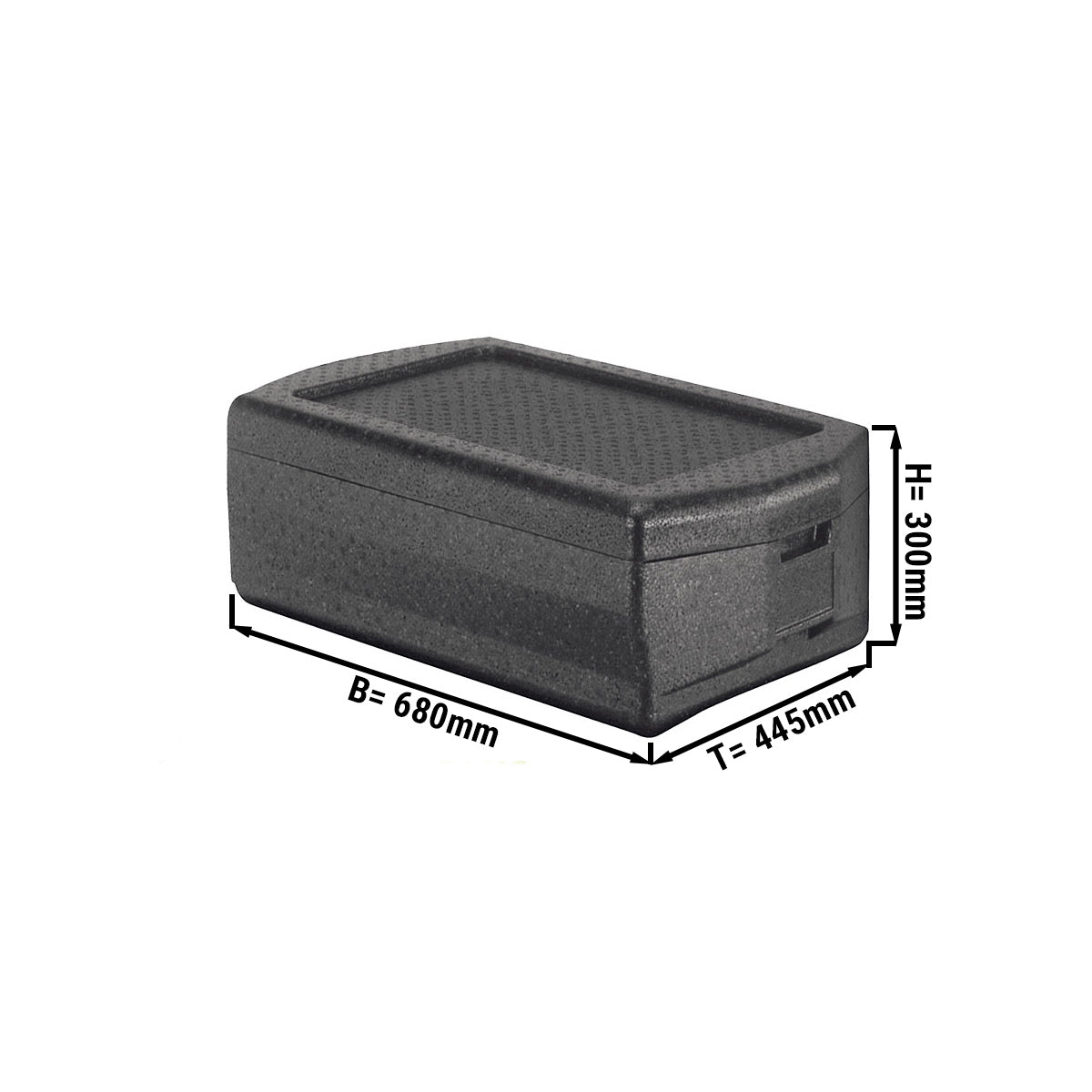 Polybox Plus GN1/1 220 mm dimensions 680x 445x 300 mm