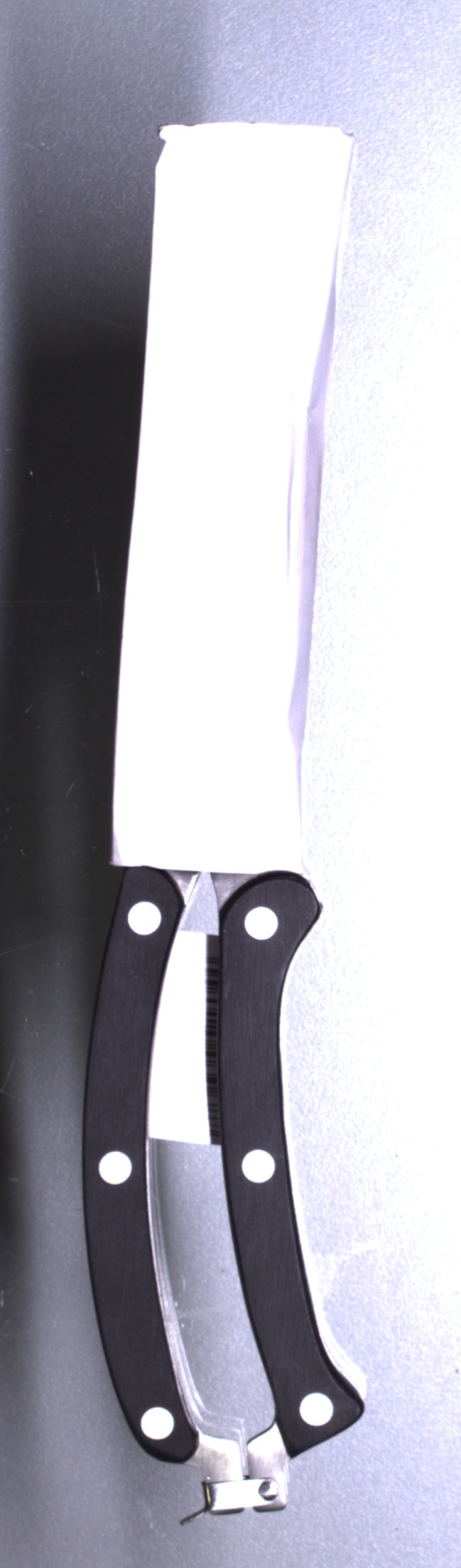 Ножици за птици от неръждаема стомана - 25 см
