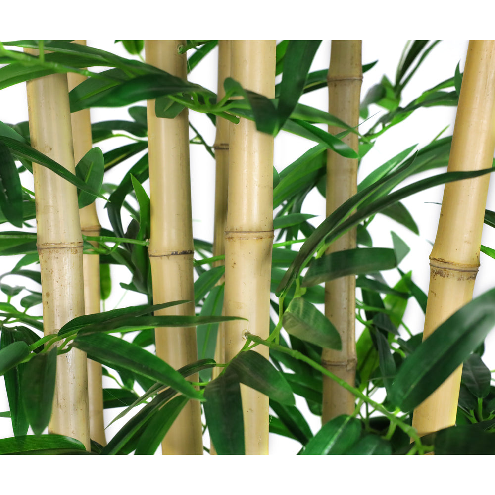 Bamboo