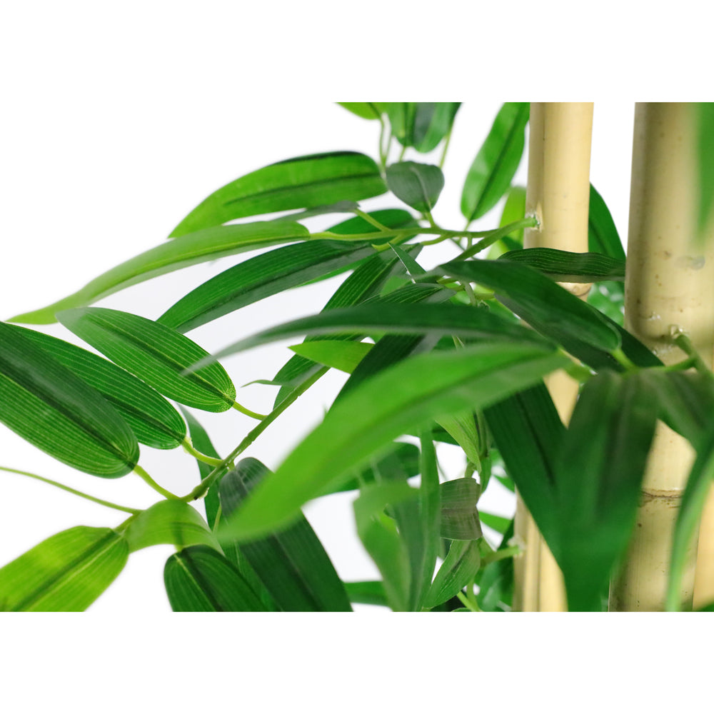 Bamboo